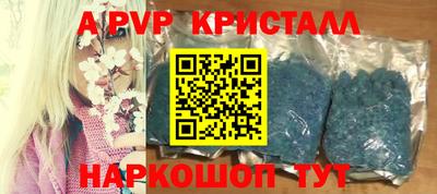 шишки Аргун