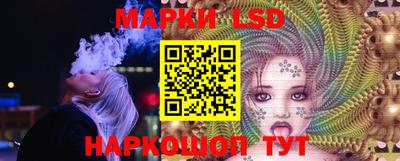 шишки Абакан