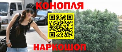 шишки Абакан