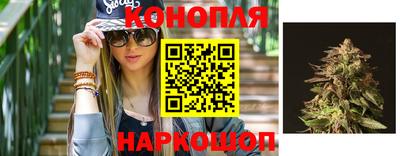 шишки Абакан