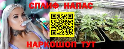 шишки Аргун