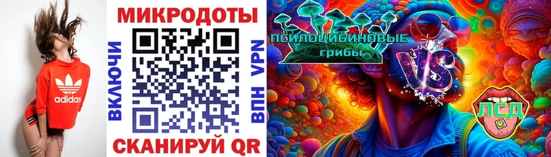 Псилоцибиновые грибы Cubensis Ноябрьск
