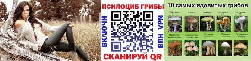 блэк спрут как войти  Ноябрьск  Галлюциногенные грибы мицелий  как найти закладки 