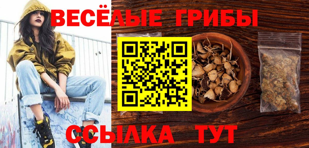 Галлюциногенные грибы мухоморы  Вход с VPN  Галлюциногенные грибы мухоморы  Ноябрьск 